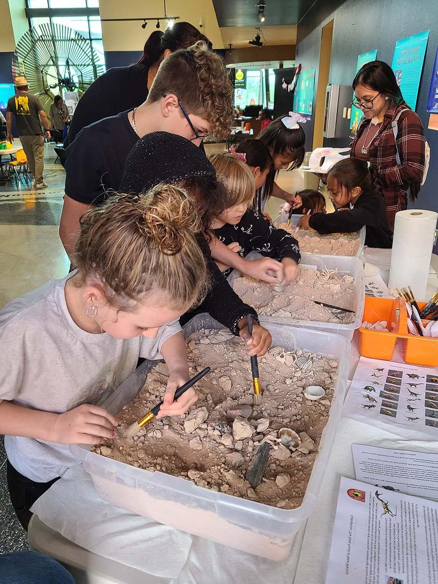 Students participating in a dinosaur dig